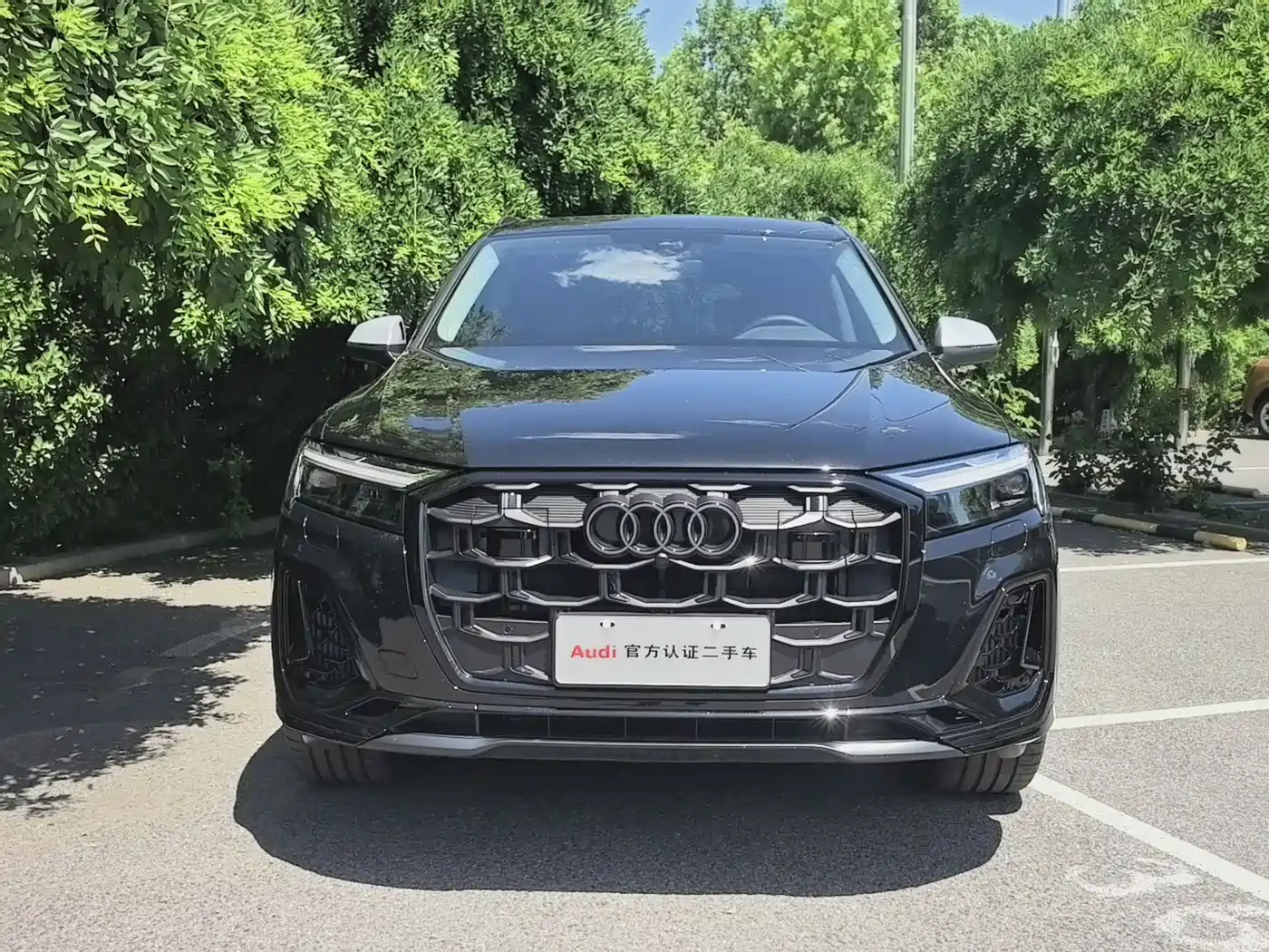Audi Q7 2025 55 TFSI quattro S line Black Warrior фото 2