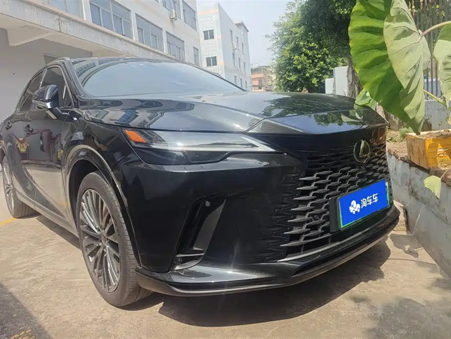 Lexus RX New Energy 2023 450h+ 4WD Enjoyment