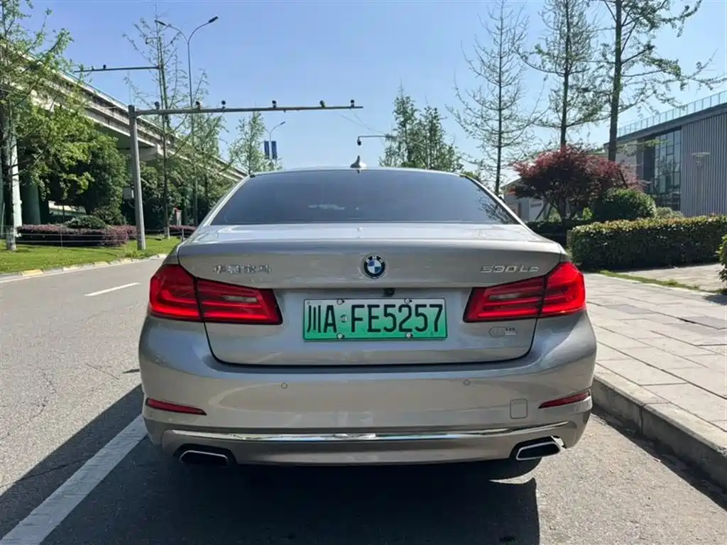 BMW 5 Series New Energy 2020 530Le Luxury Package фото 8
