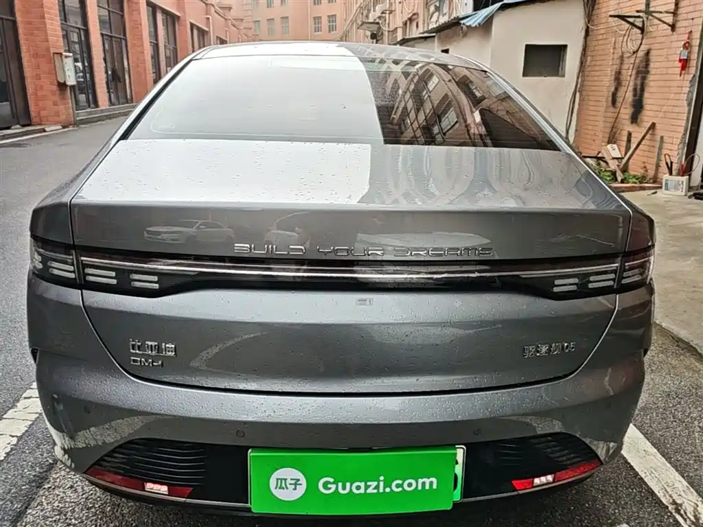 BYD Destroyer 05 2024 Glory Edition DM-i 55KM Luxury фото 6