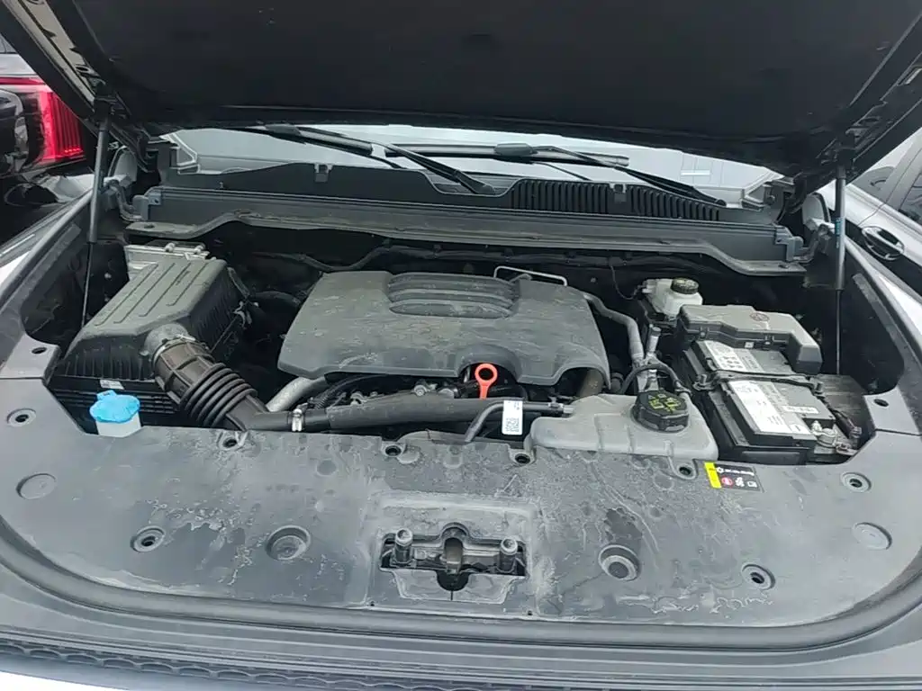 Haval H9 2025 2024 2.0T Gasoline AWD Extreme Edition