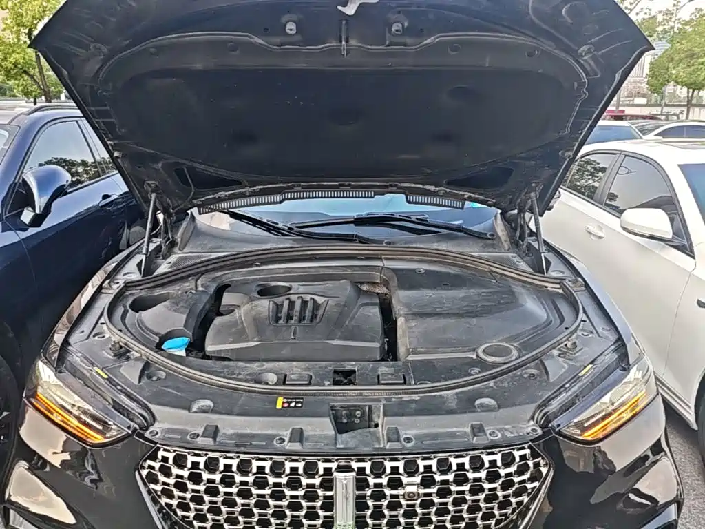 WEY VV7 2020 2021 Model 2.0T Technology Edition