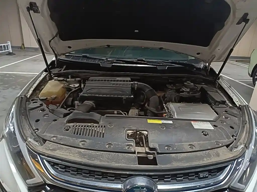 BYD Qin New Energy 2018 1.5T Smart Premium фото 20