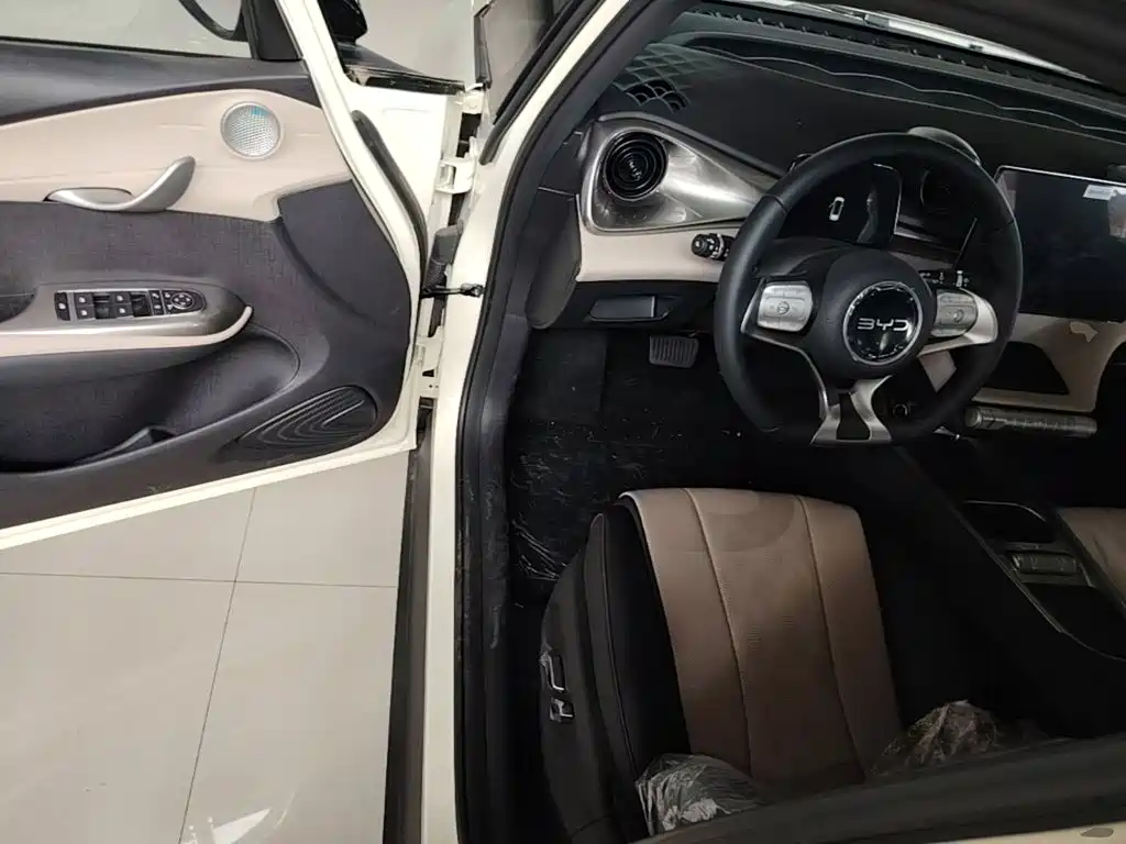 BYD Dolphin 2026 2025 420km Freedom Edition