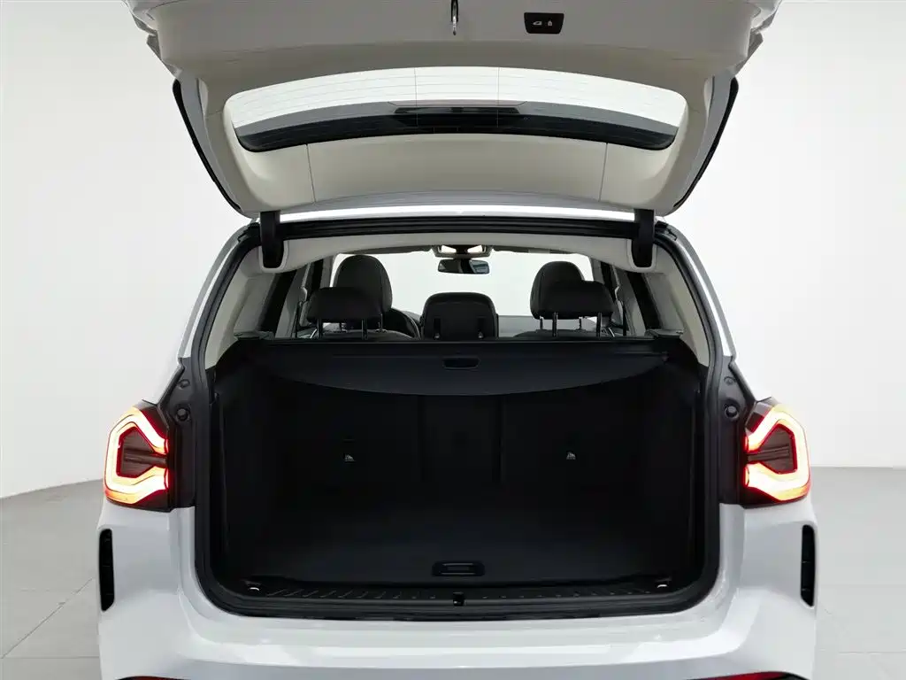 BMW X3 2022 xDrive30i Leading M Night Package фото 16