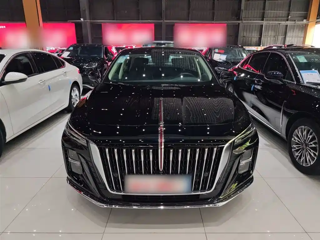 Hongqi H5 2025 1.5T DCT Flag Rhythm 500,000 Units Memorial Edition фото 5