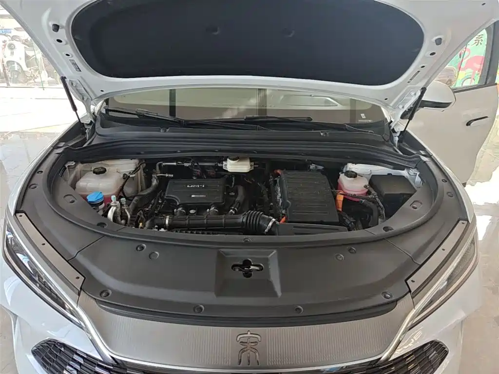 BYD Song L DM-i 2025 Smart Drive 160km Premium фото 20