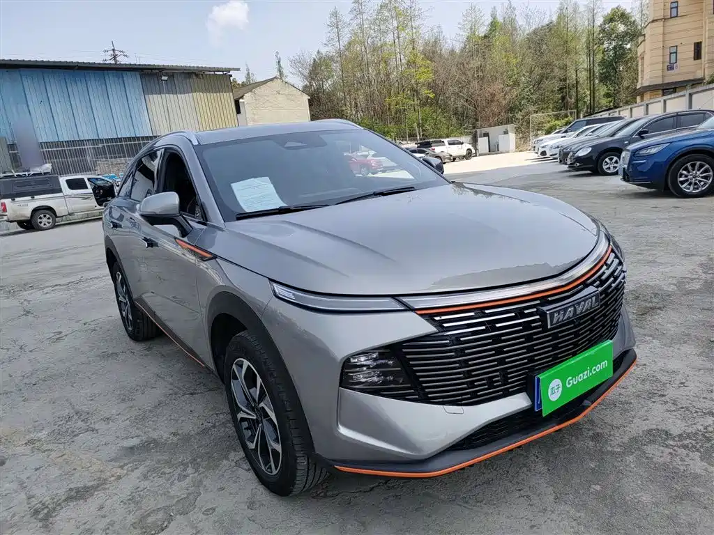HAVAL DIVINE BEAST