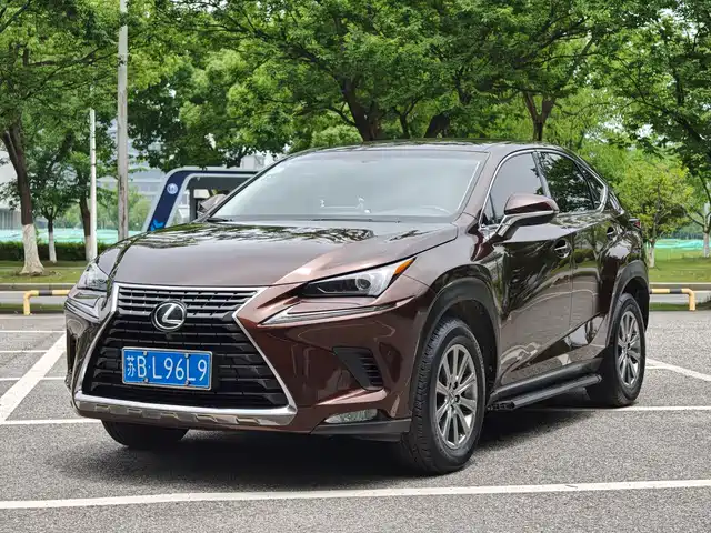 Lexus NX 2018 Model 200 FWD Fengxing Edition China V — фото 1