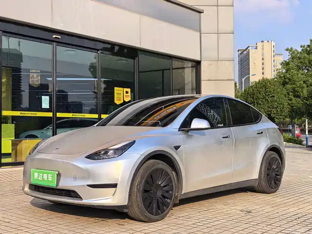 Tesla Model Y Задний привод
