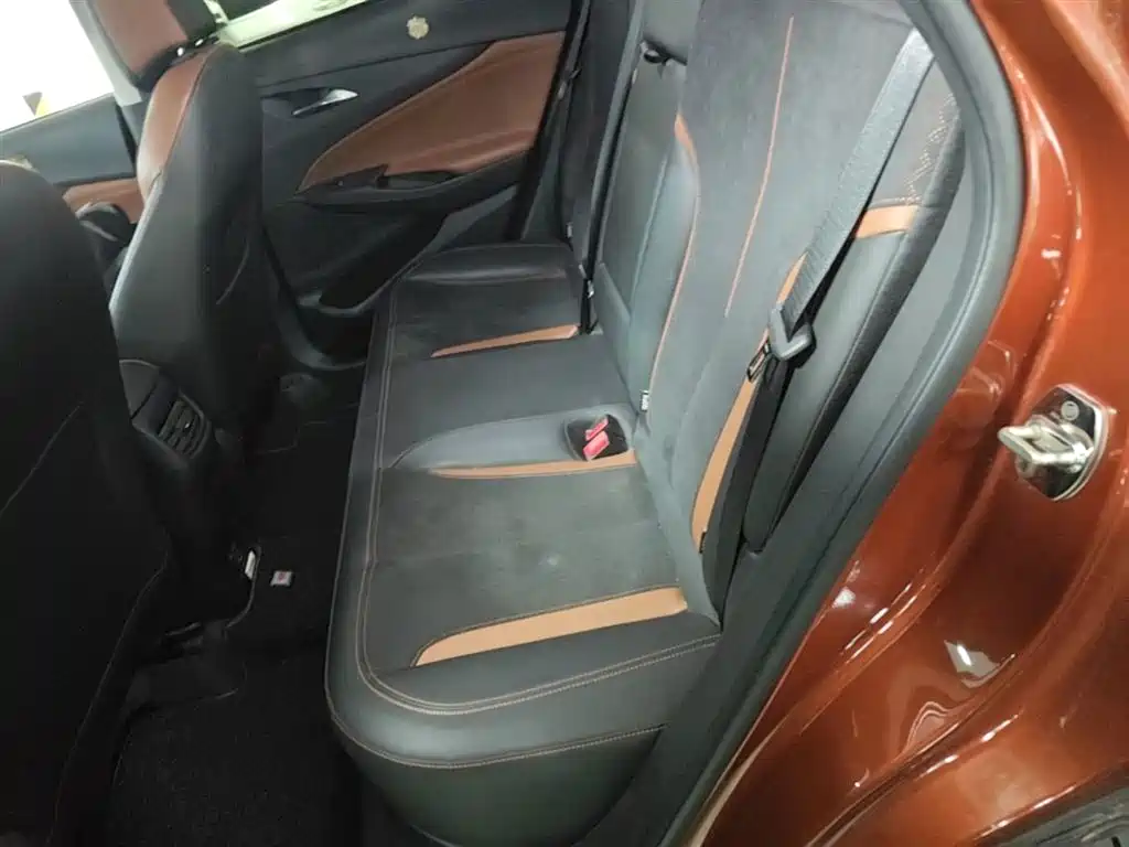 Buick Encore 2020 20T CVT Luxury Edition фото 17