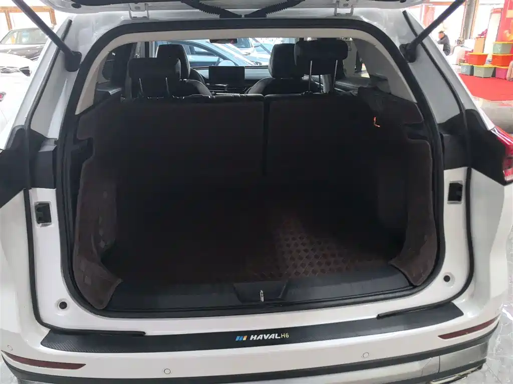 Haval H6 2021 National Trend Edition 1.5T Automatic Urban Edition фото 19