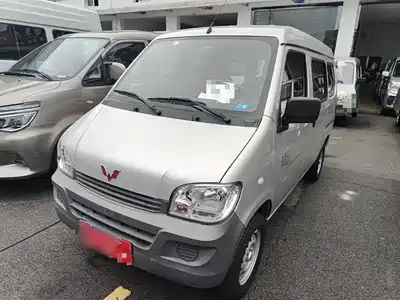 Wuling Sunshine