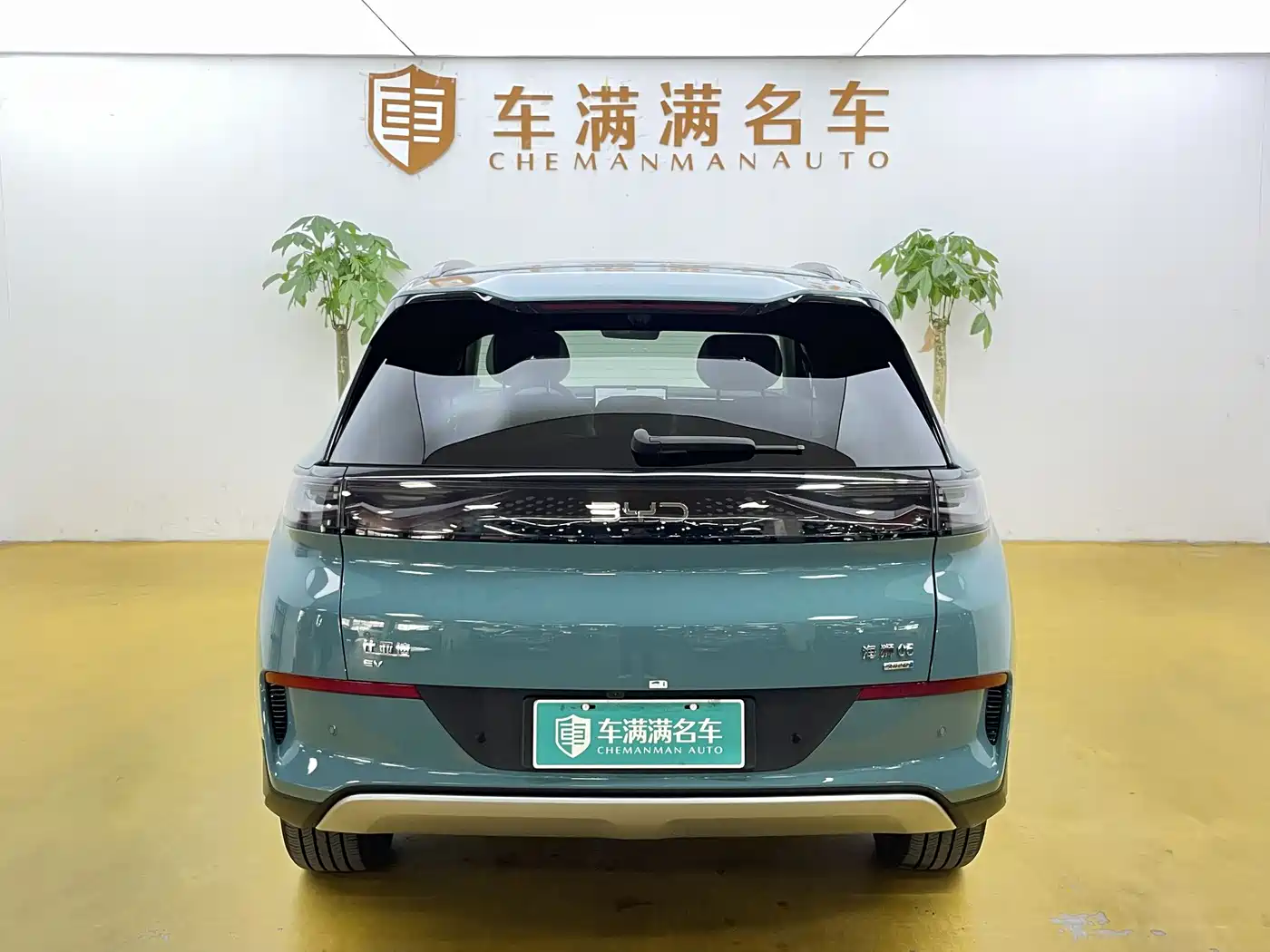 BYD Hai Shi 05 EV 2025 520KM Flagship Smart Navigation Edition фото 10
