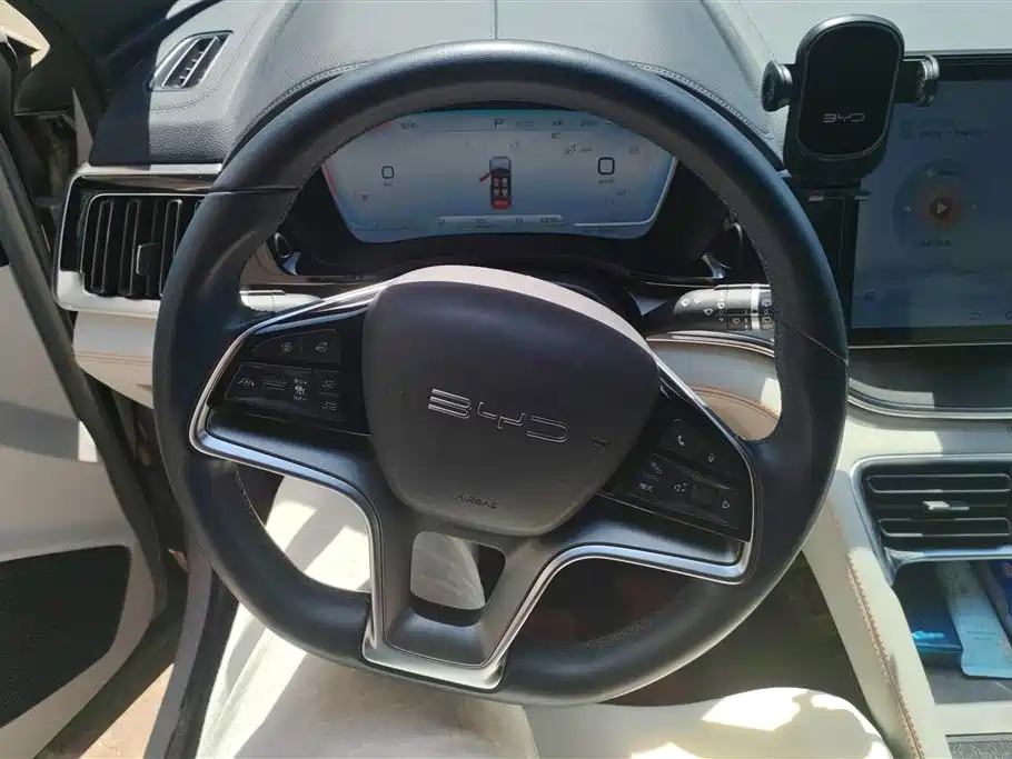 BYD SONGJIANG NEW ENERGY