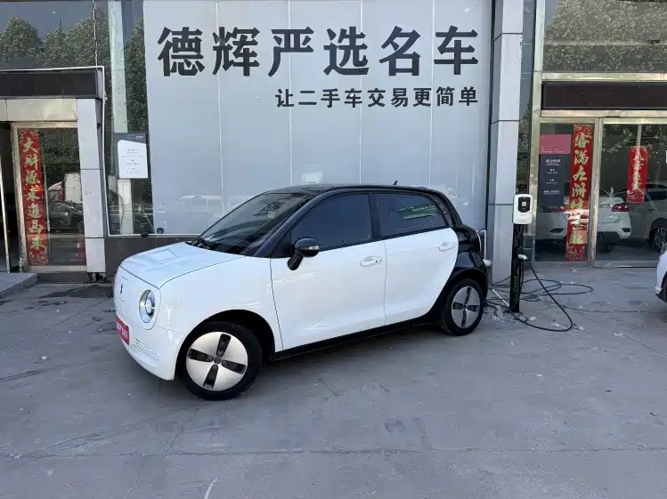 Ora Black Cat 2021 2021 301km Pet Edition