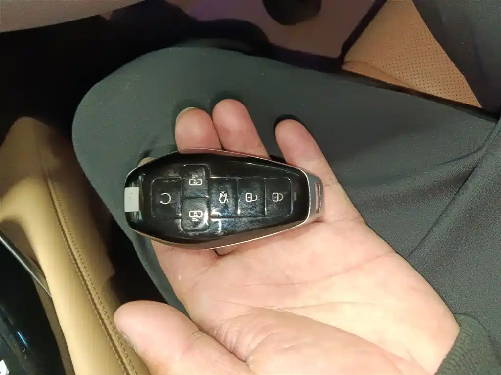 Denza D9 2025 DM-i Smart Drive Edition 1020 AWD Premium фото 17