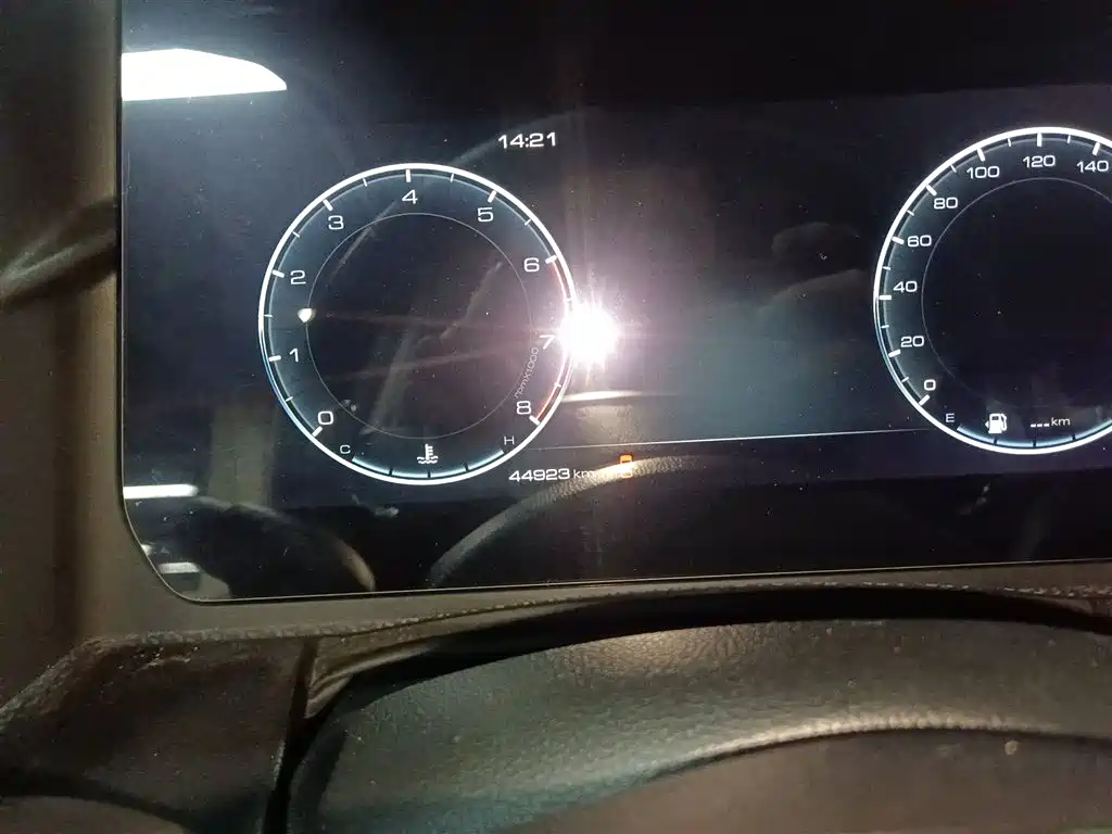 Haval Big Dog 2024 1.5T DCT Border Collie Edition фото 8