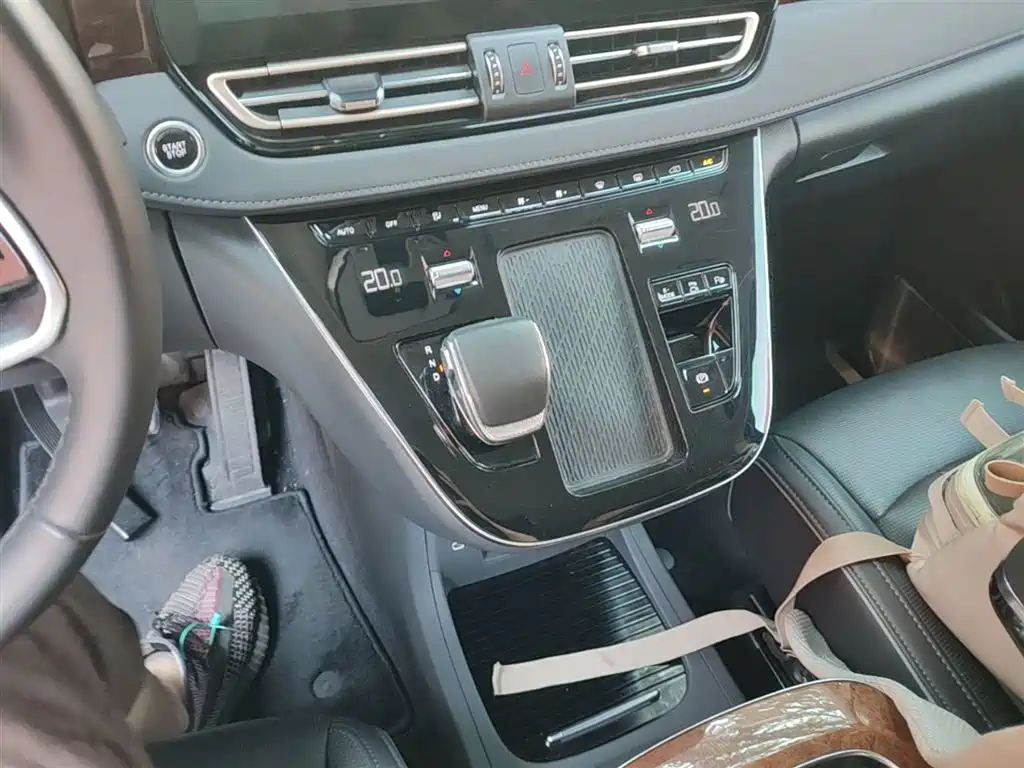 Hongqi HQ9 PHEV 2024 Model 2.0T AWD Luxury Edition фото 14