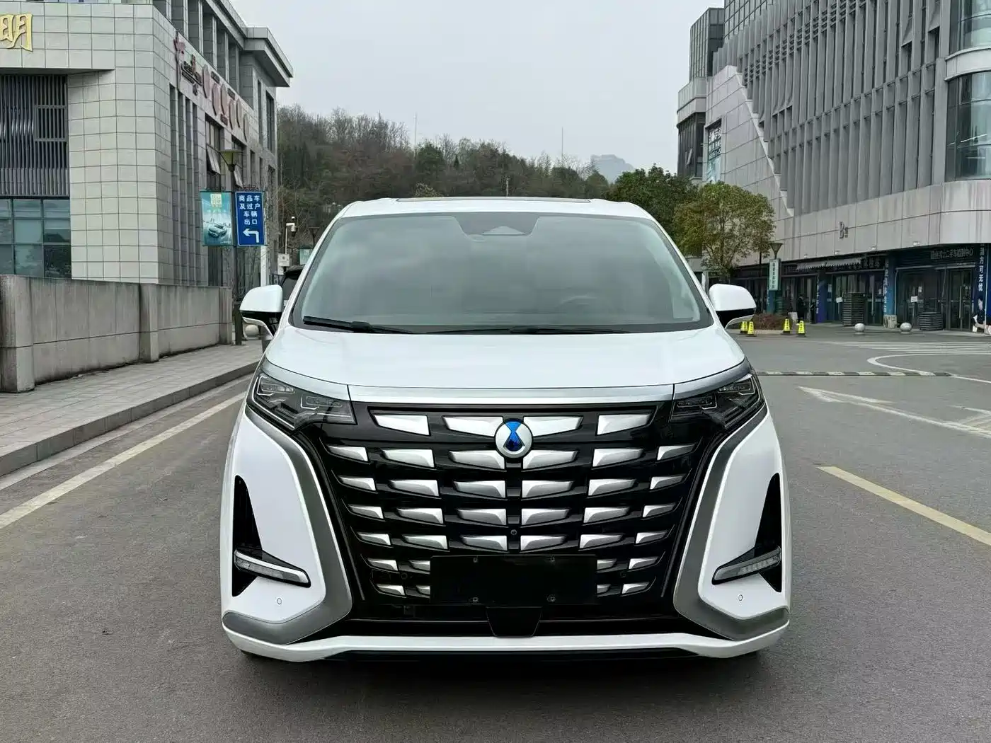 Denza D9 2022 DM-i 970 AWD Flagship фото 2