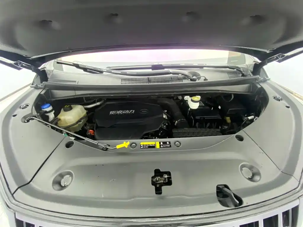 GAC Trumpchi Trumpchi M8 2024 Patriarch Series 400T Ultimate Edition фото 13