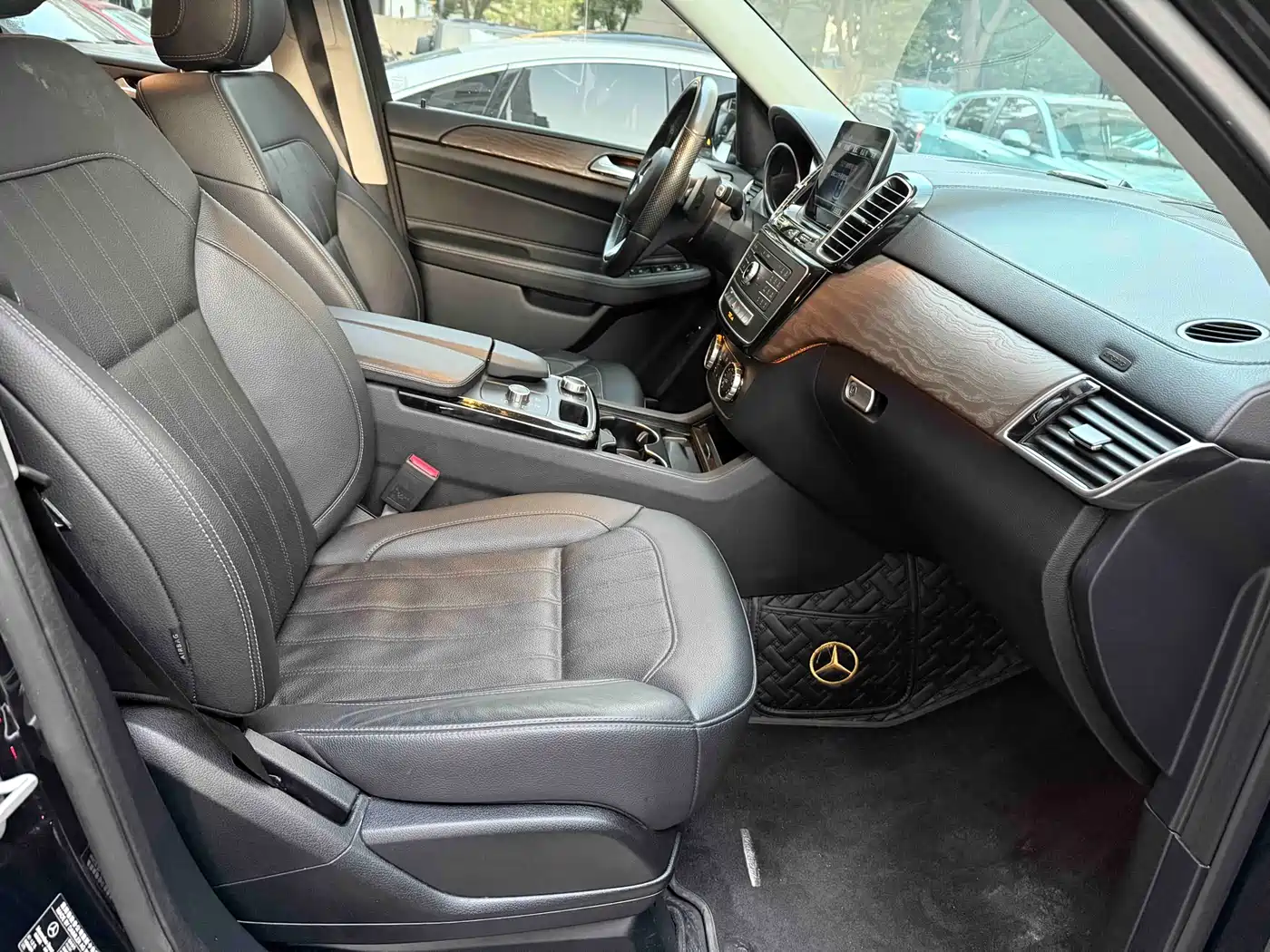 Mercedes-Benz GLE 2016 GLE 320 4MATIC Luxury фото 16