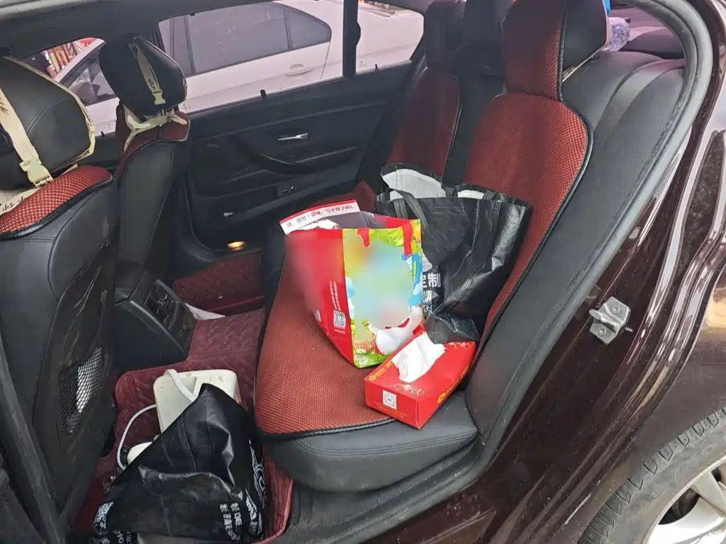 BMW 3 Series 2016 320Li Progressive фото 13