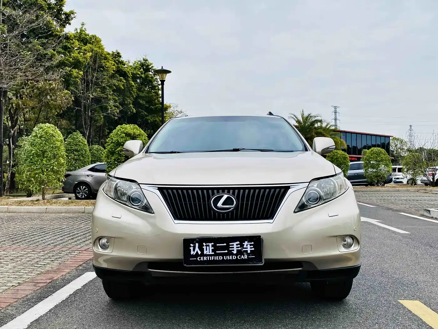 Lexus RX Classic 2011 270 Elegance фото 3