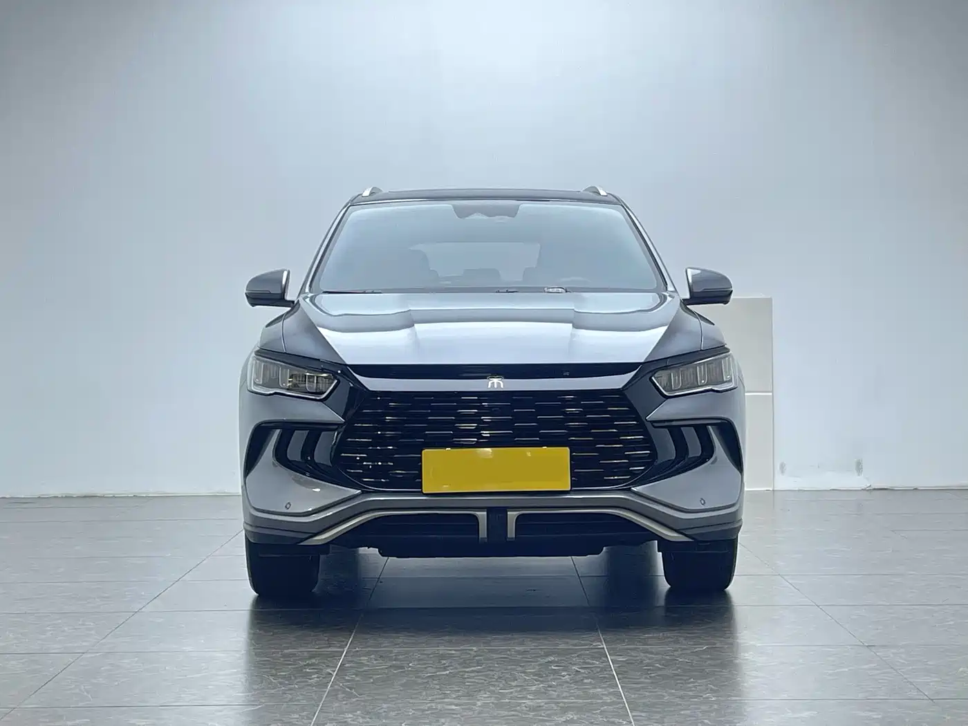 BYD Song Pro New Energy 2024 Glory Edition DM-i 110KM Surpassing фото 2