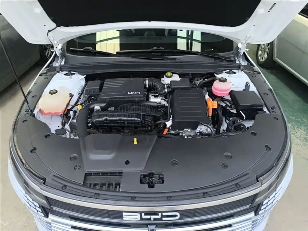 BYD Destroyer 05 2022 DM-i 120KM Premium фото 20