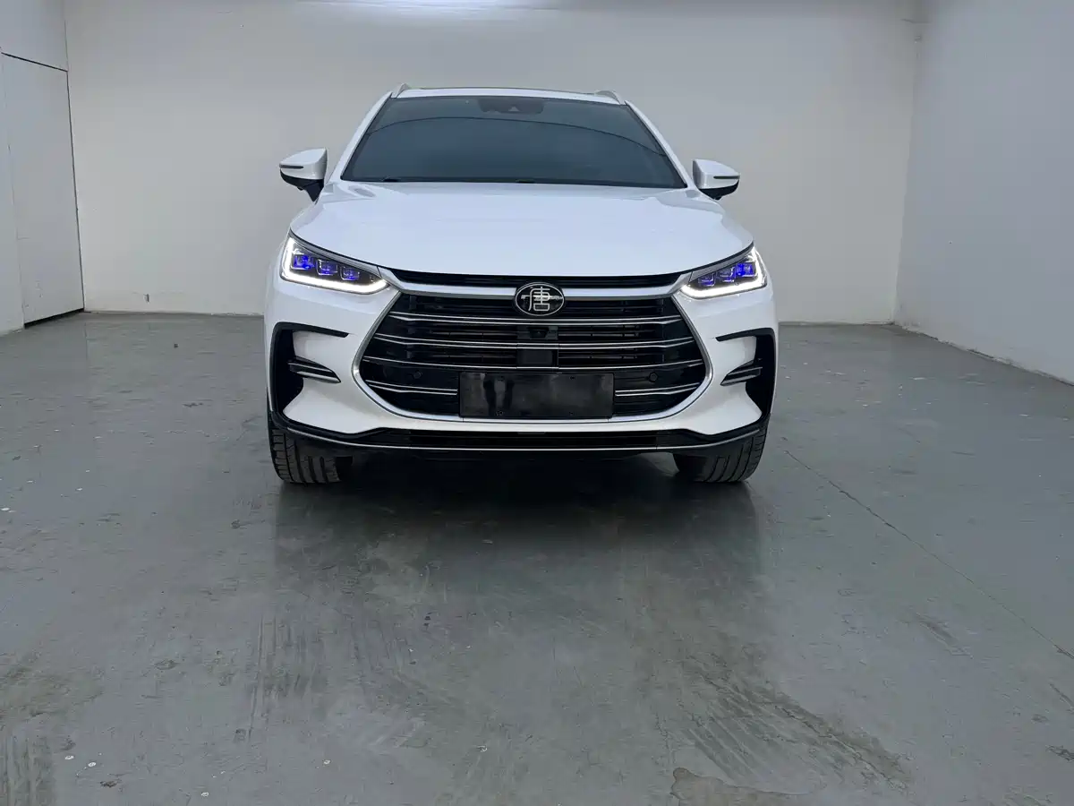 BYD Tang New Energy 2021 DM 2.0T AWD High Performance Premium фото 2