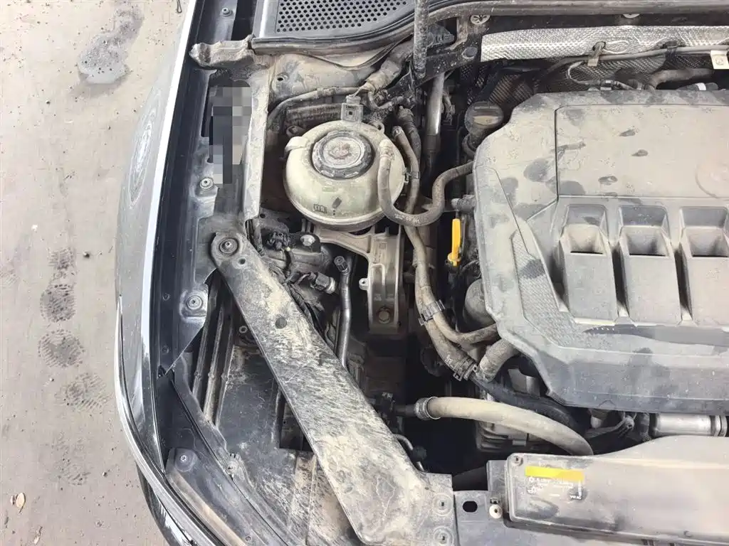 Volkswagen Magotan 2020 330TSI DSG Luxury фото 22