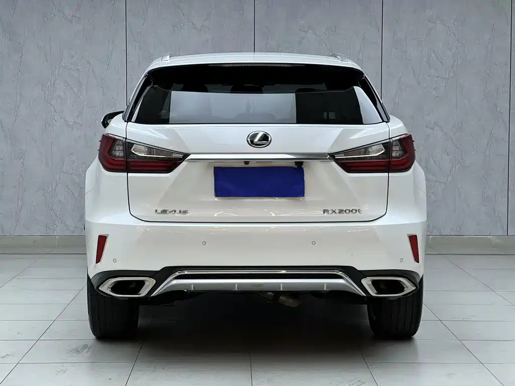 Фото 13 - Lexus RX
