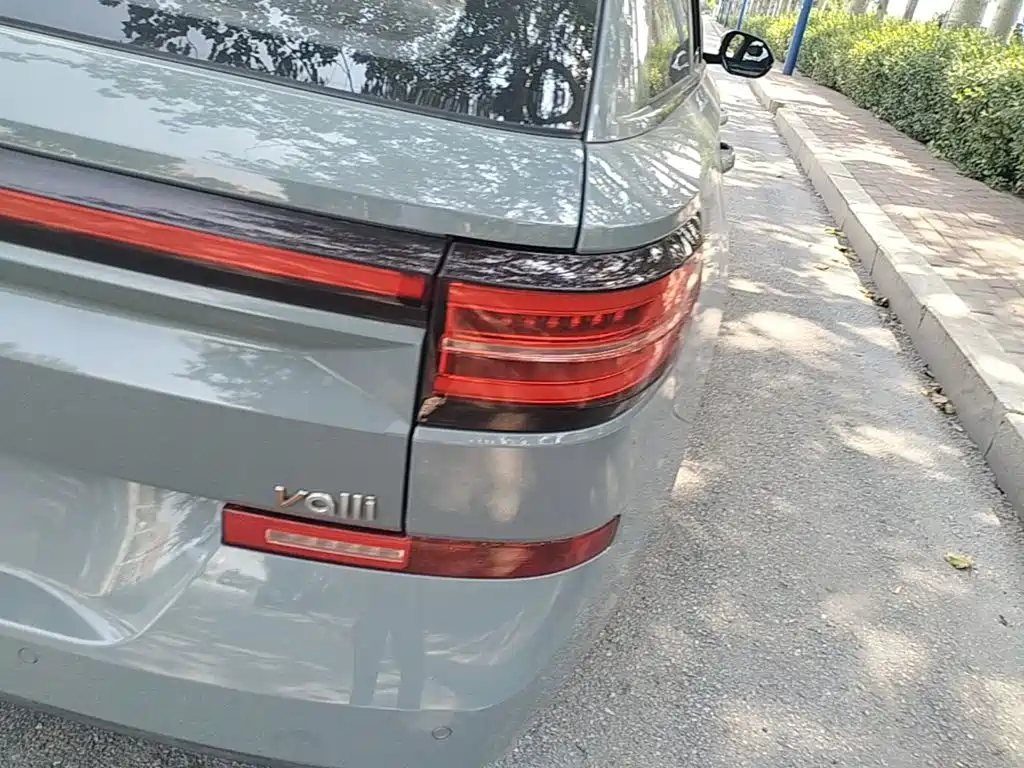 Baojun Valli 2021 2021 1.5T Nagqu Starry Sky CVT Flagship Model