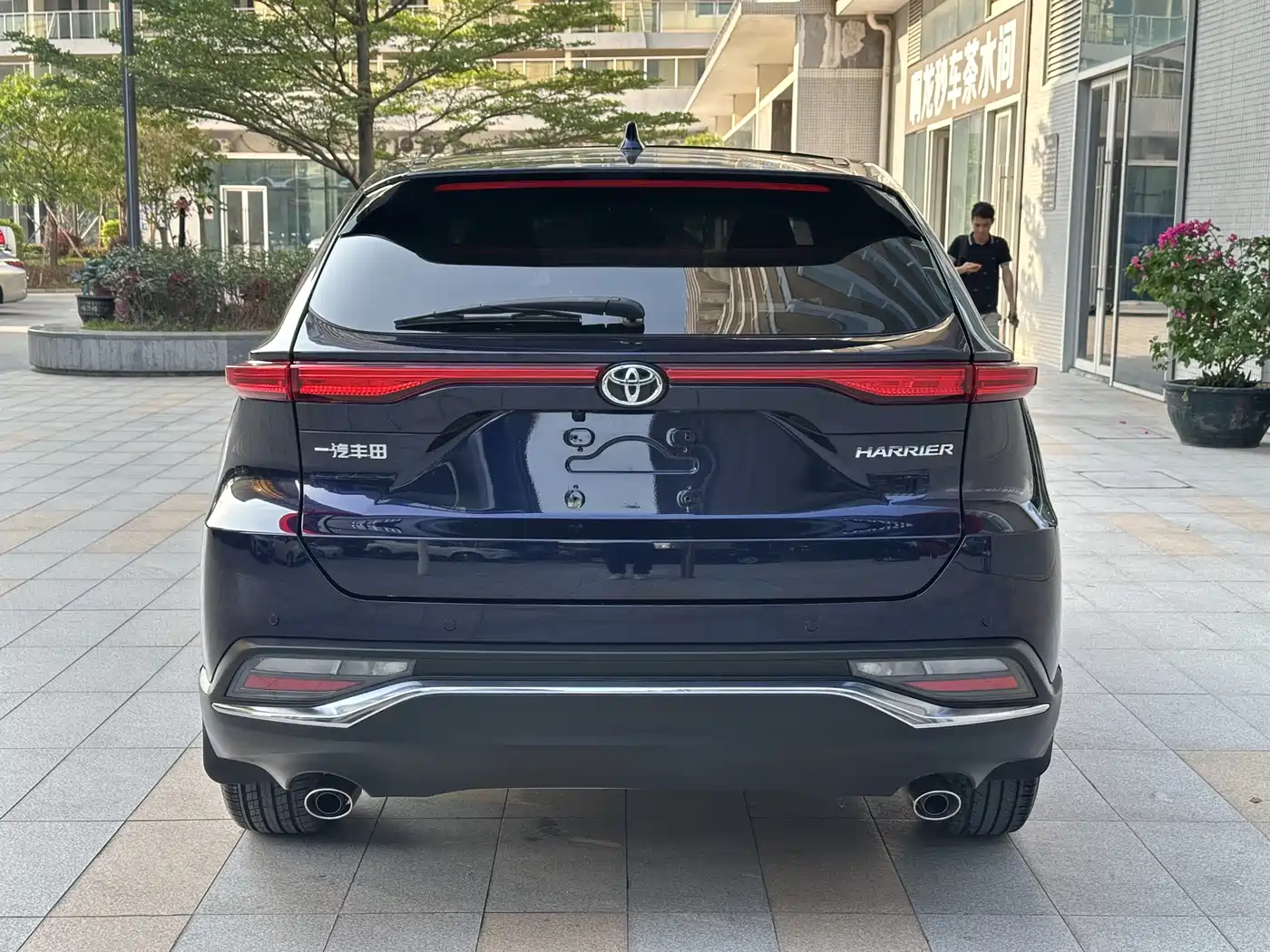 Toyota Lingfang HARRIER 2022 2.0L CVT 2WD Premium Edition фото 7