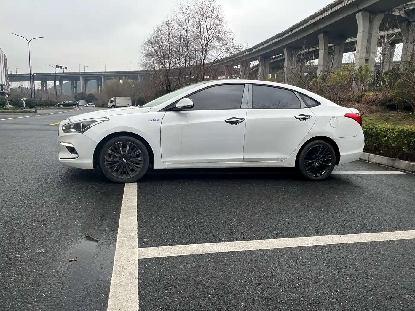 HYUNDAI NAME PICTURE