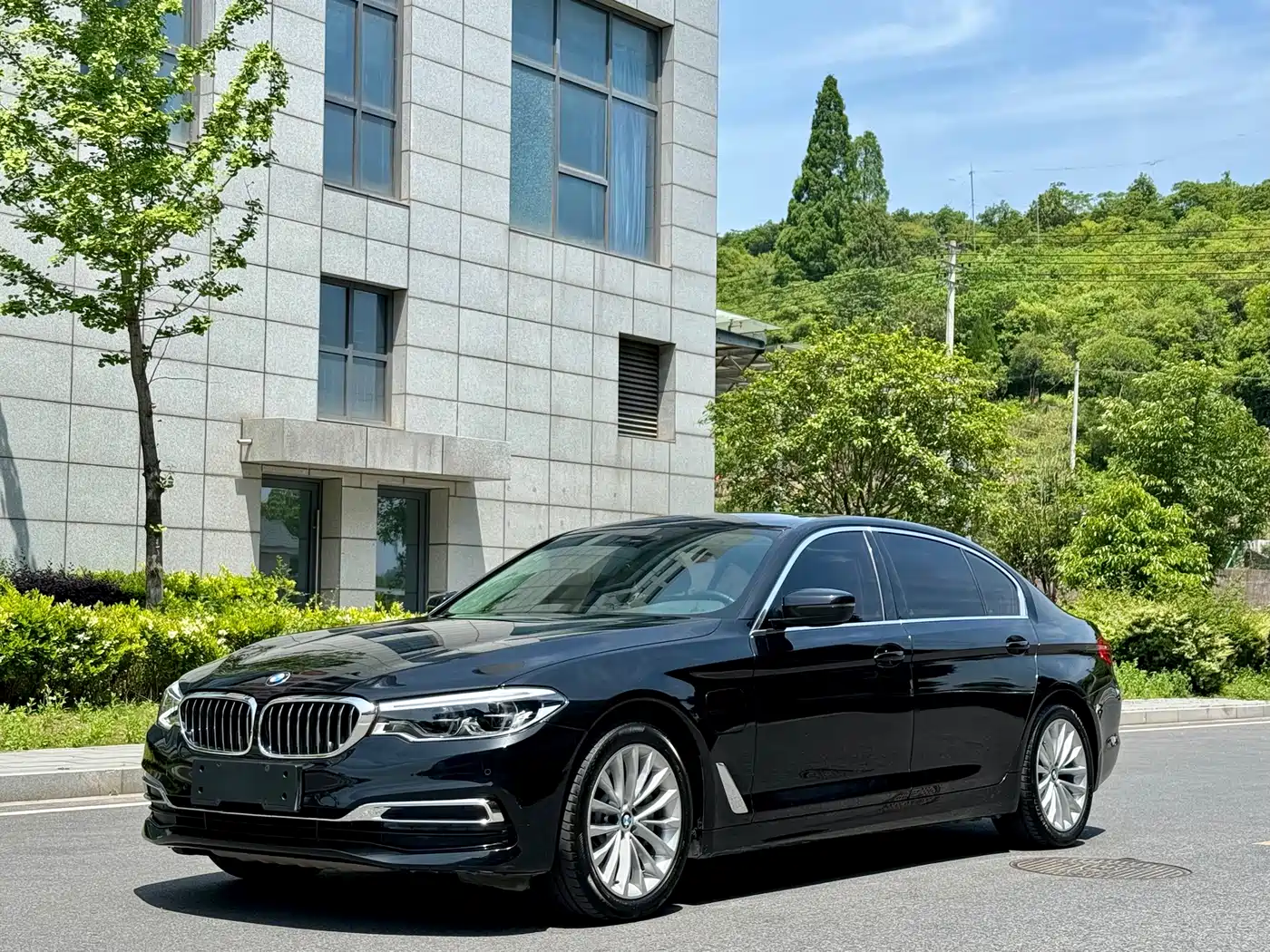 BMW 5 Series New Energy 2020 530Le Luxury Package