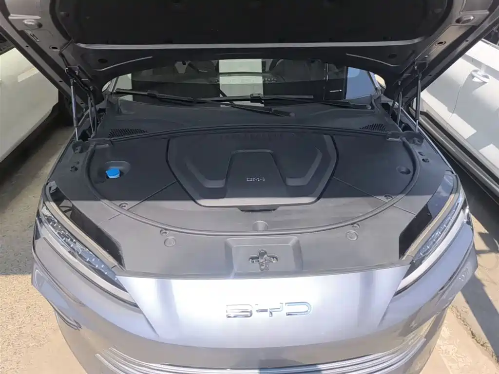BYD Song PLUS PHEV 2024 Glory Edition DM-i 110km Flagship фото 20