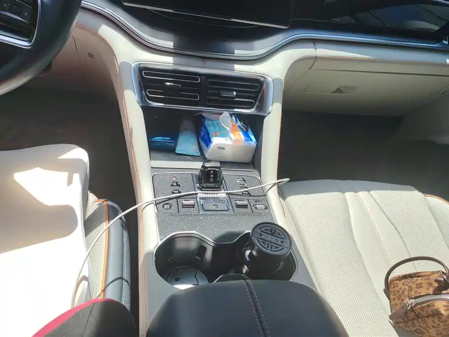 BYD SONGJIANG NEW ENERGY