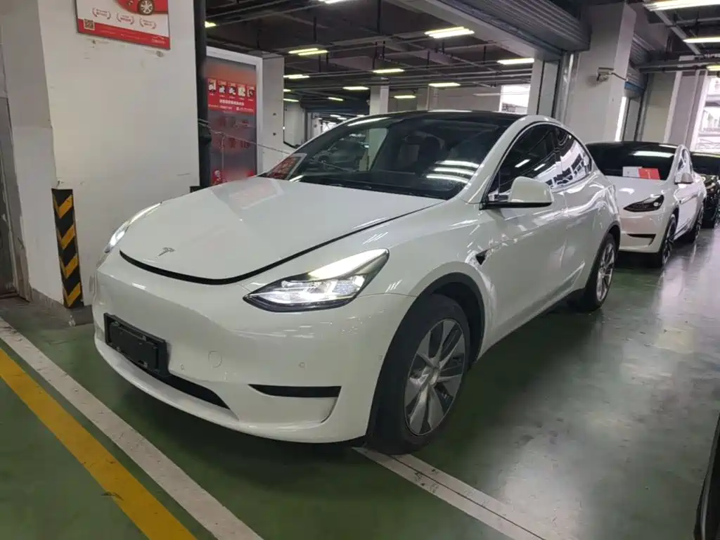 Tesla Model Y 2022 Rear-Wheel Drive Version