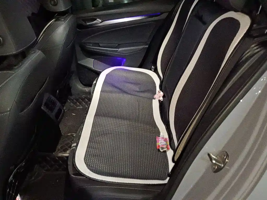 Volkswagen Golf 2021 280TSI DSG R-Line фото 13