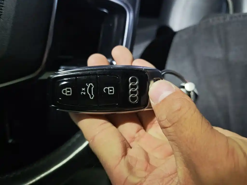 Audi e-tron (Import) 2019 55 quattro Technology фото 9