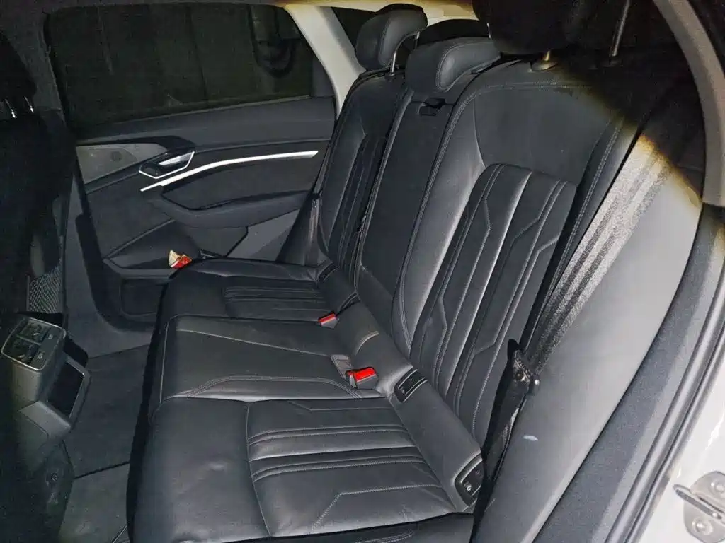 Audi e-tron (Import) 2019 55 quattro Technology фото 18