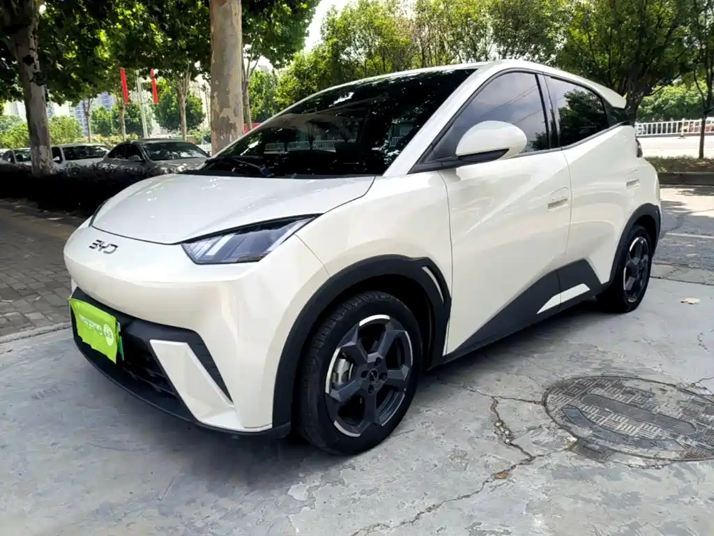  BYD Seagull 2023 Freedom Edition 2