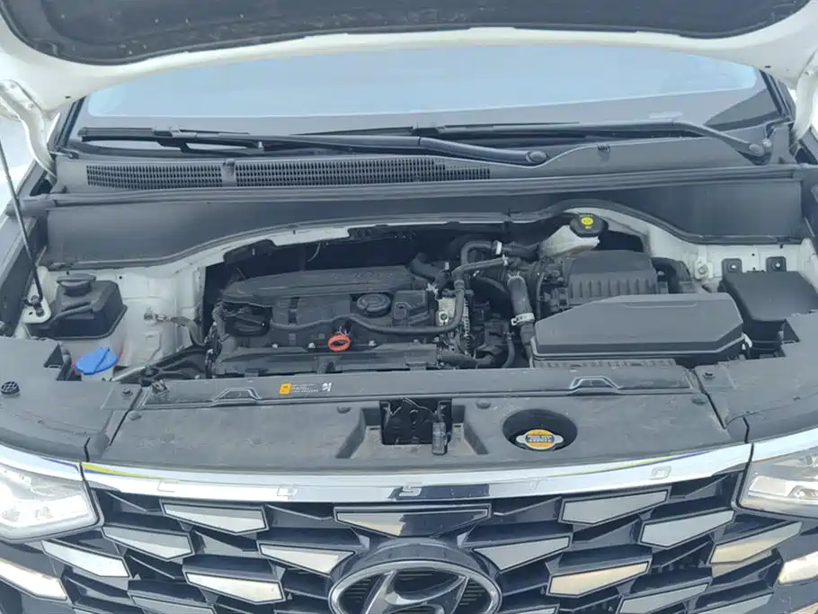 Hyundai Kustu 2021 270TGDi Premium LUX фото 10