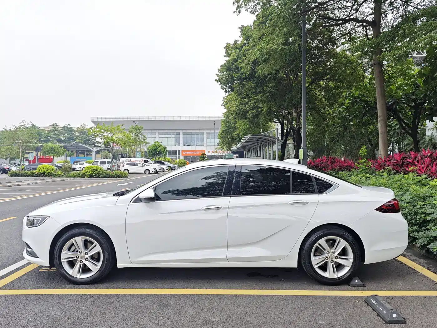 Buick Regal 2017 20T Elite Type фото 4