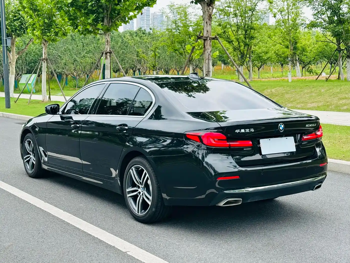 BMW 5 Series 2021 530Li Leading Luxury Package фото 6