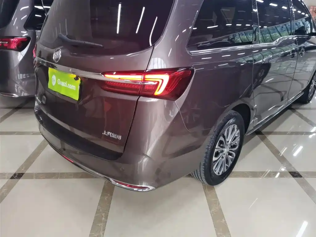 Buick GL8 2023 Model Land Business Class Comfort фото 8