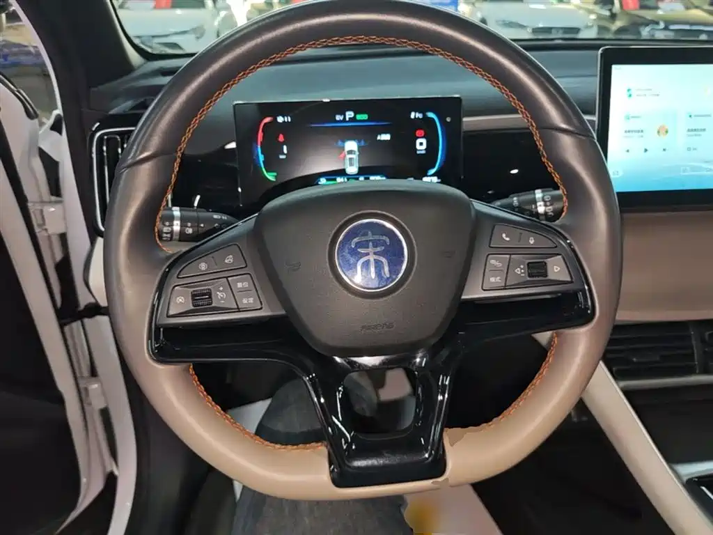BYD Song Pro New Energy 2024 Glory Edition DM-i 71KM Pilot фото 11