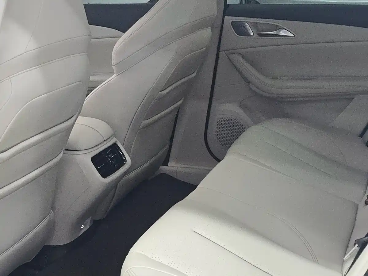 Dongfeng Fengxing Stellar S7 2024 2024 555 Luxury Edition